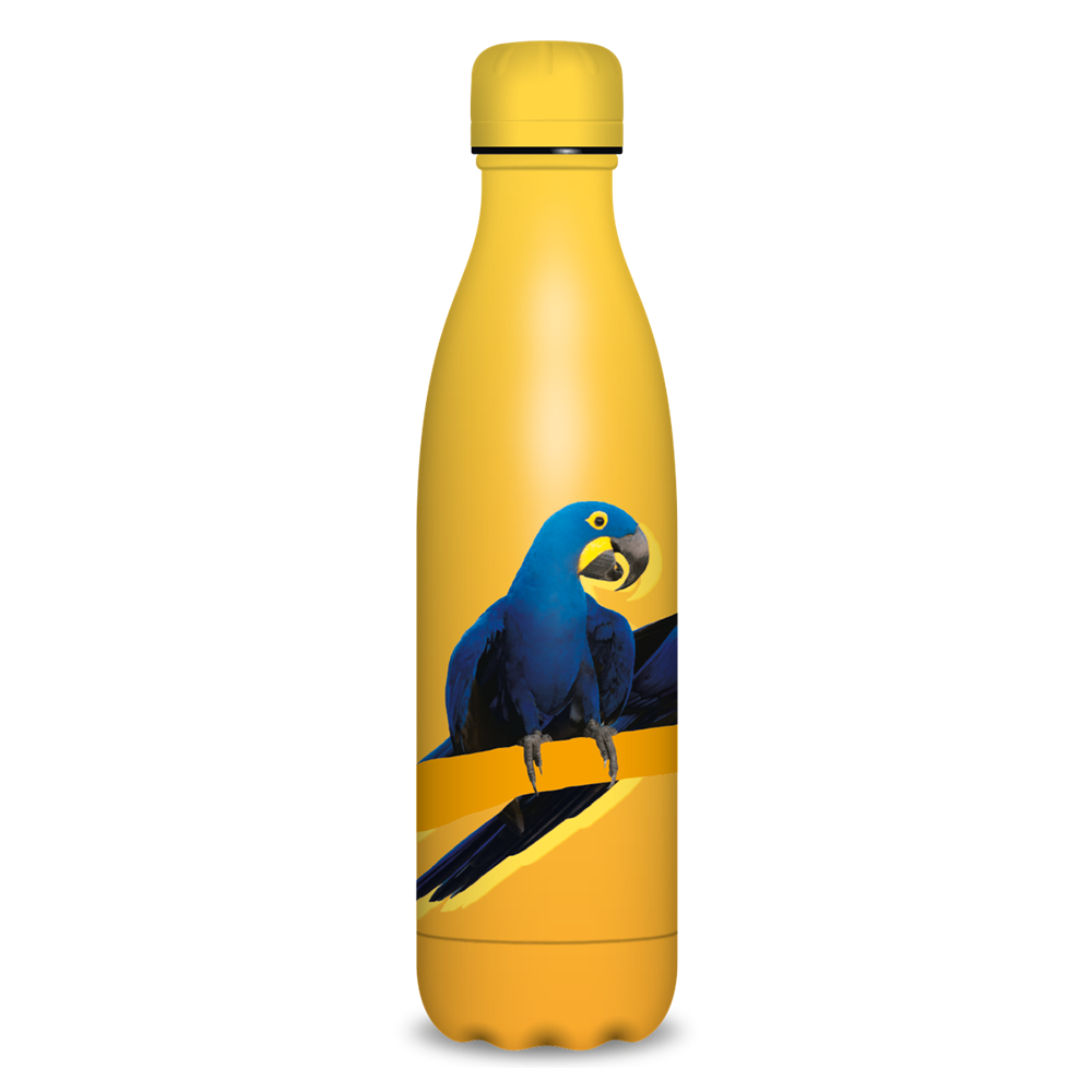 Fémkulacs duplafalú 500ml Ars Una Máté Bence - parrot (5163) 22 kép
