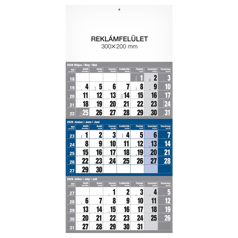 Speditőrnaptár REALSYSTEM 1 tömbös 3 havi kék üres fejrész 2026. kép