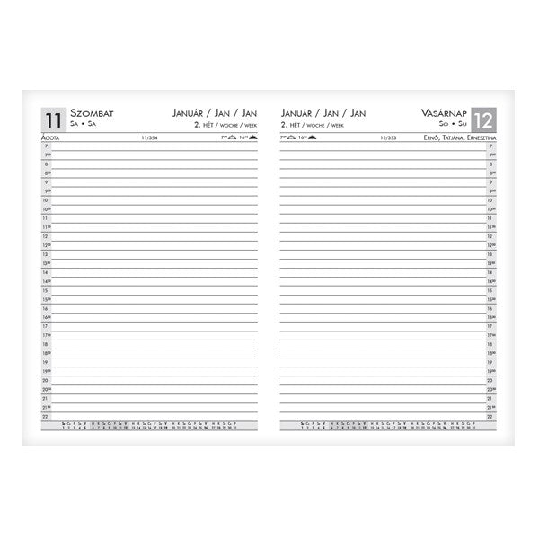 Határidőnapló ALISCA Rebel varrott A/5 napi fehér lapos barna 2026. kép