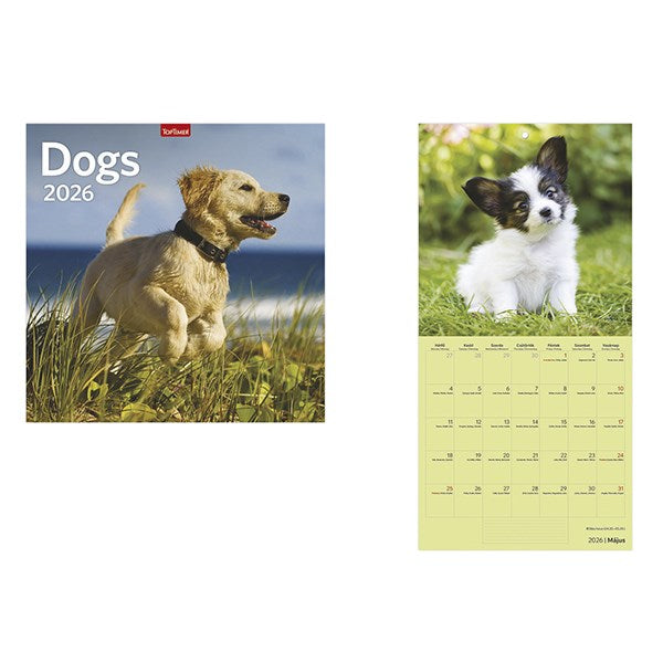 Falinaptár TOPTIMER T098 290x580mm álló Dogs 2026. kép