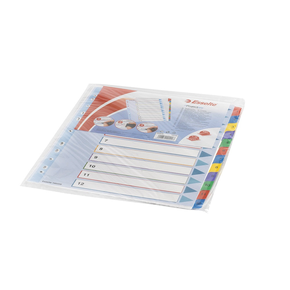 Elválasztólap, A4, Maxi regiszteres 1-12 laminált karton előlap 100209 Esselte kép