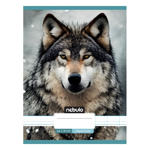 Füzet kockás NEBULO A/4 32 lapos 87-32 L-Design 12 darabos