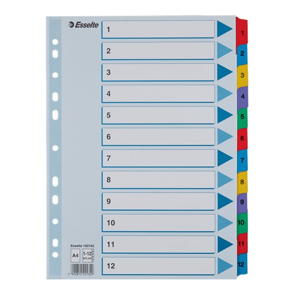 Regiszter ESSELTE Mylar A/4 laminált karton 1-12