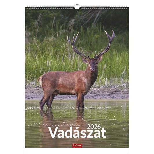 Falinaptár TOPTIMER T093 310x420mm álló Vadászat 2026. kép