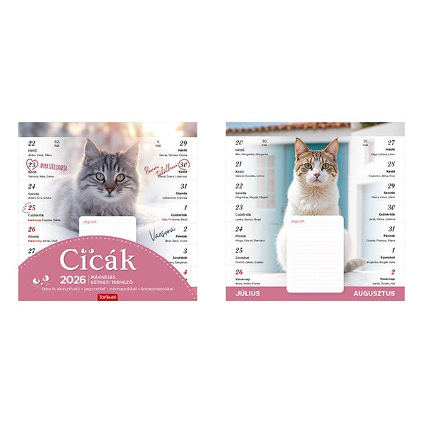 Falinaptár mágneses TOPTIMER T090 220x220mm Cicák 2026. kép