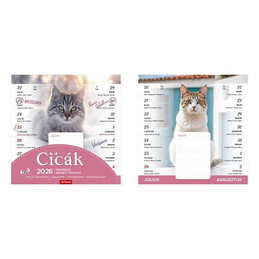 Falinaptár mágneses TOPTIMER T090 220x220mm Cicák 2026. kép