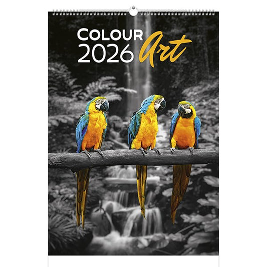 Falinaptár TOPTIMER T092 315x450mm álló Colour Art 2026. kép