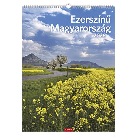Falinaptár TOPTIMER T093 310x420mm álló Ezerszínű Magyarország 2026. kép