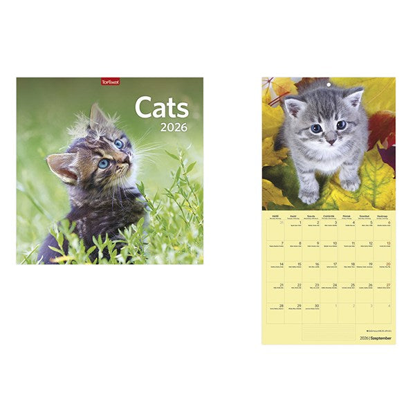 Falinaptár TOPTIMER T098 290x580mm álló Cats 2026. kép