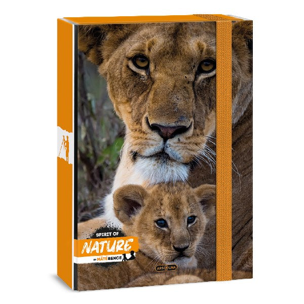 Füzetbox ARS UNA A/4 Máté Bence-lion kép