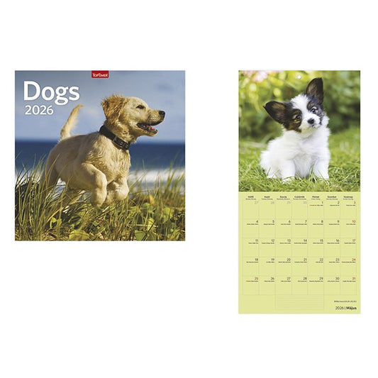 Falinaptár TOPTIMER T098 290x580mm álló Dogs 2026. kép
