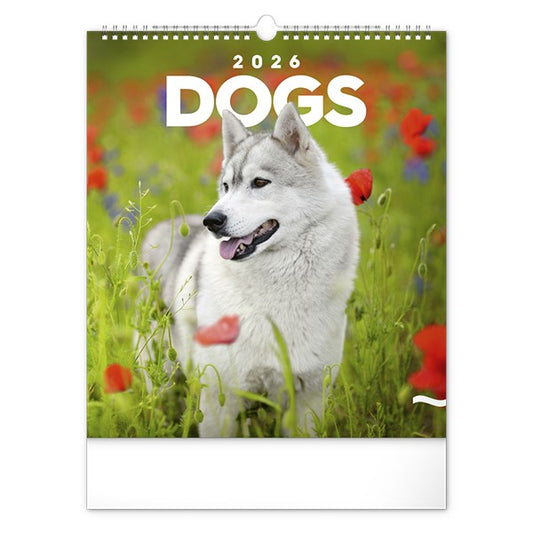 Falinaptár REALSYSTEM 300x340mm álló Dogs 2026. kép