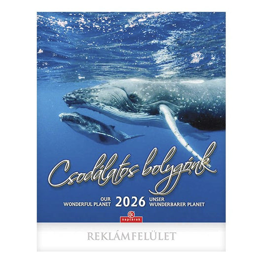 Falinaptár CSG 300x340mm álló Csodálatos Bolygónk 2026. kép