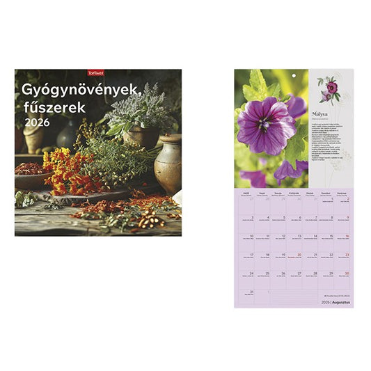Falinaptár TOPTIMER T098 290x580mm álló Gyógynövények-fűszerek 2026. kép